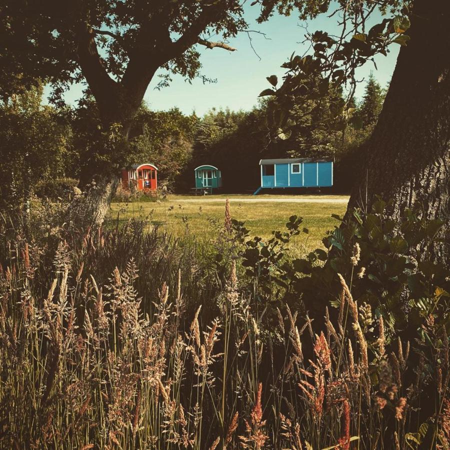Pipowagens Bij Pannenkoekenrestaurant & Camping De Koppenjan 'Een Uniek Verblijf Met Kinderspeelboerderij' Jubbega-Schurega Экстерьер фото