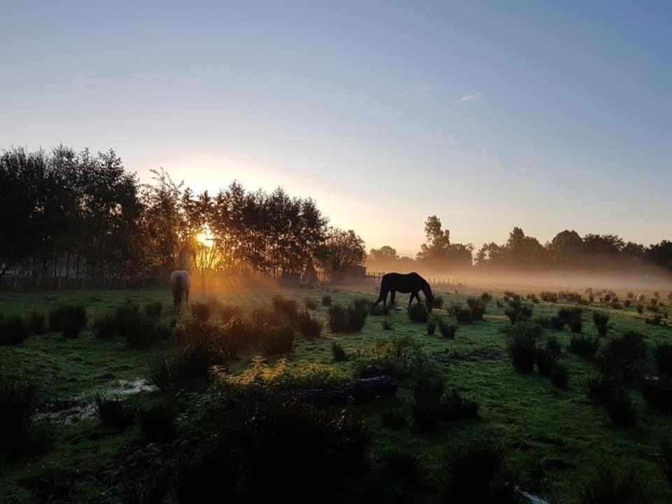 Pipowagens Bij Pannenkoekenrestaurant & Camping De Koppenjan 'Een Uniek Verblijf Met Kinderspeelboerderij' Jubbega-Schurega Экстерьер фото