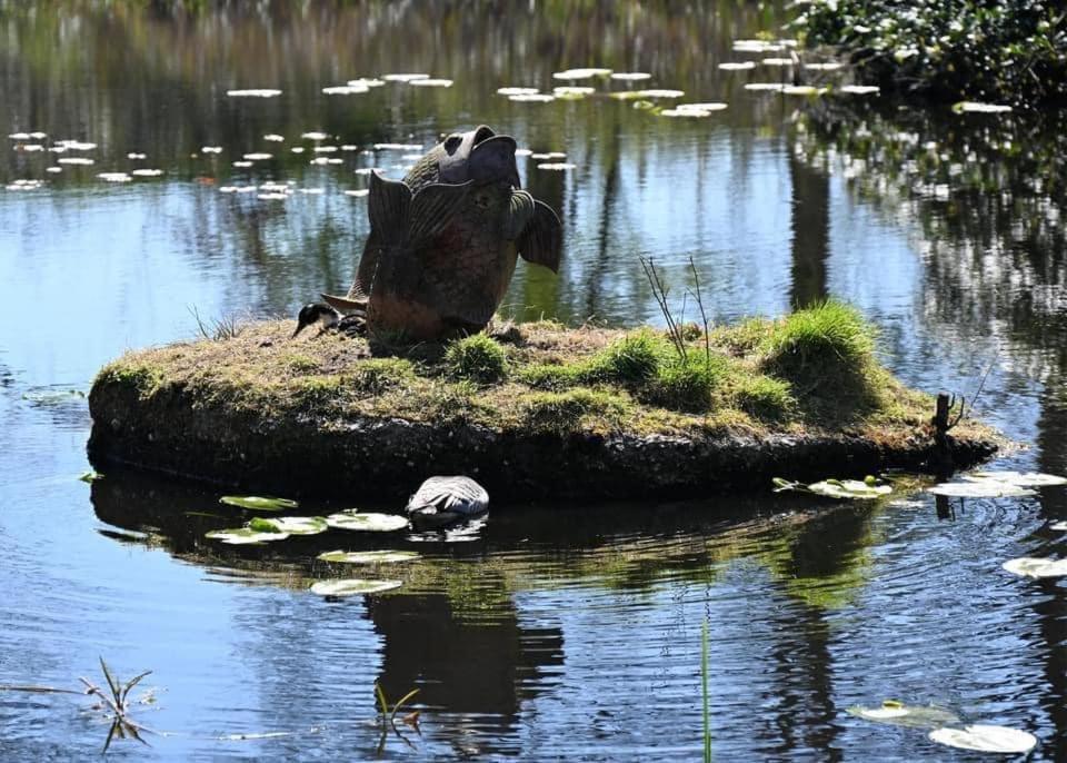 Pipowagens Bij Pannenkoekenrestaurant & Camping De Koppenjan 'Een Uniek Verblijf Met Kinderspeelboerderij' Jubbega-Schurega Экстерьер фото