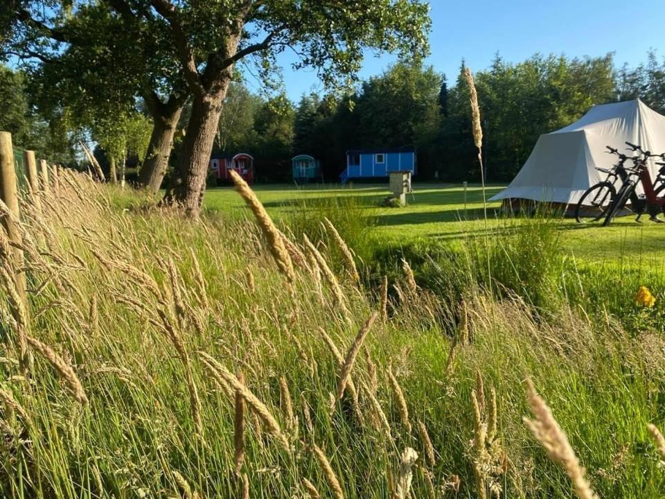 Pipowagens Bij Pannenkoekenrestaurant & Camping De Koppenjan 'Een Uniek Verblijf Met Kinderspeelboerderij' Jubbega-Schurega Экстерьер фото